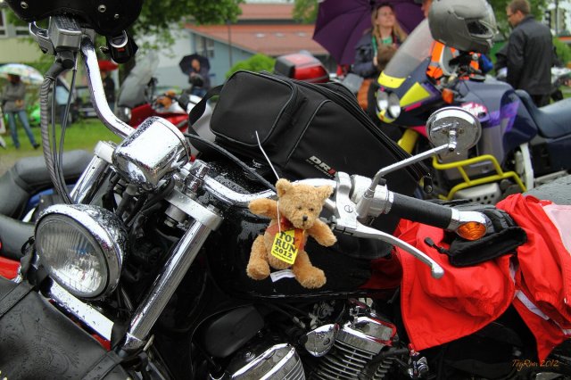 ToyRun 2012_0045